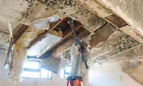 Best Industrial Mold Remediation  in Carle Place, NY